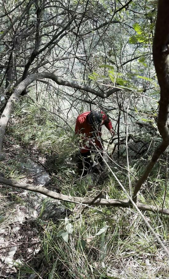 湖南女子为添道菜深山采蘑菇失联 遗体在400米悬崖下找到