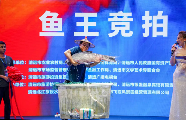 “鱼王”拍出30万 买家当场放生 是一条重40斤的黑皖鱼