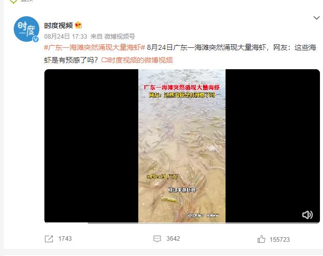 广东一海滩突然涌现大量海虾 网友：这些海虾是有预感了吗？