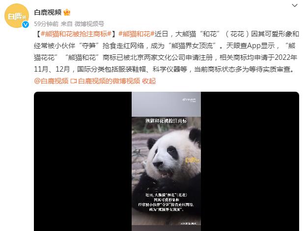 “熊猫和花”“熊猫花花”已被注册商标