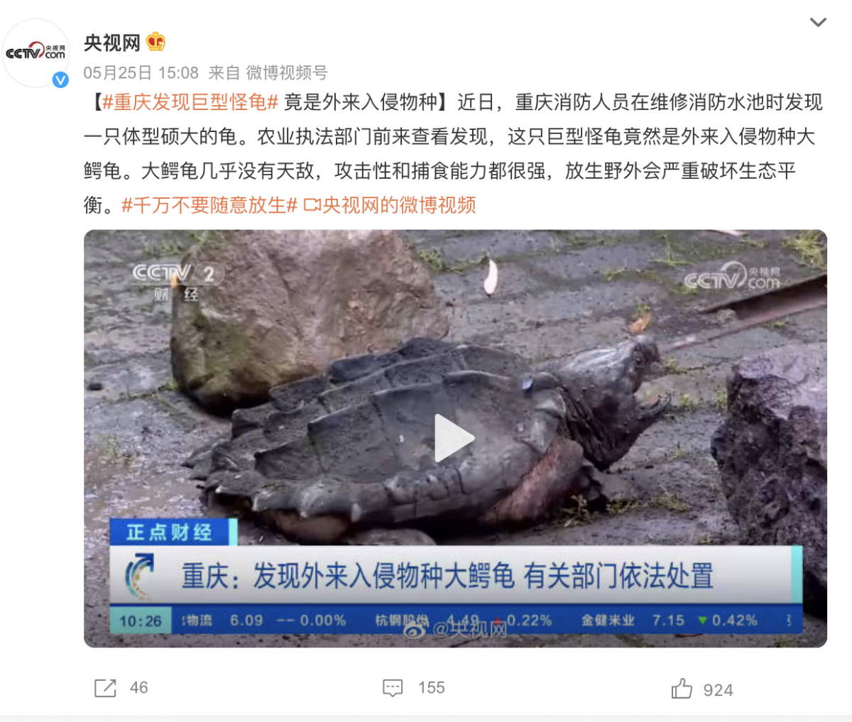 重庆发现巨型怪龟：系外来入侵物种 几乎没有天敌