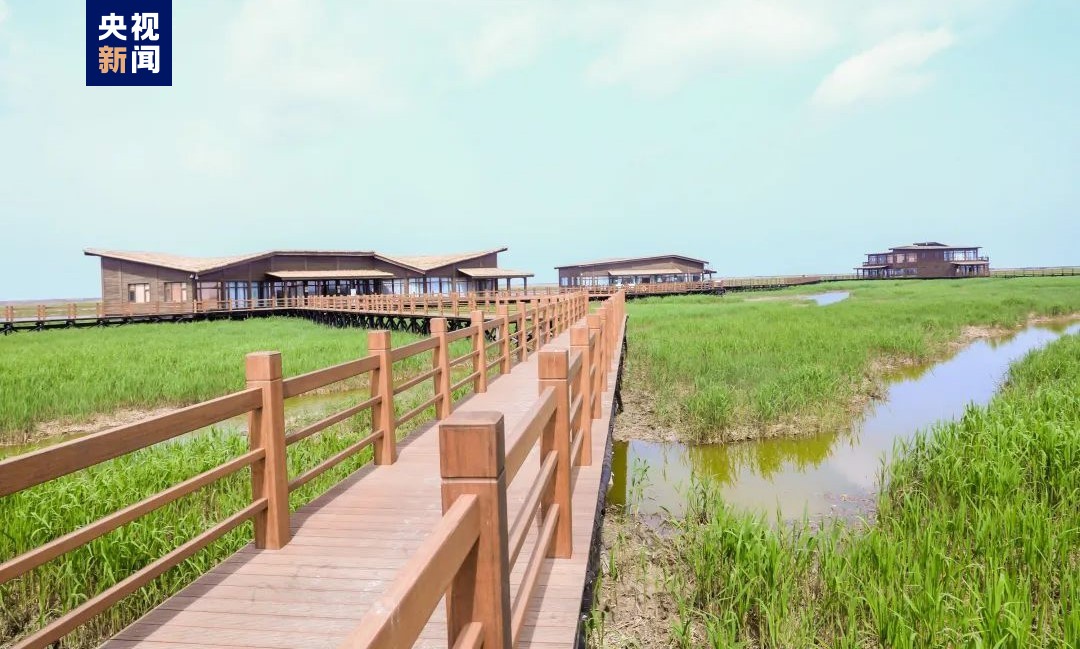 上海崇明东滩鸟类国家级自然保护区科普教育基地7月1日开放
