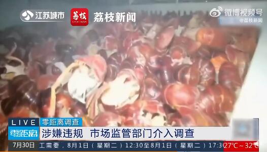 成吨死龙虾疑似被做成虾尾出售 最多1天加工5吨死龙虾