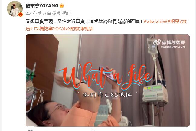杨祐宁记录老婆分娩vlog 记录老婆二胎生产过程