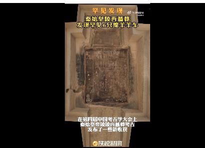 秦始皇陵西墓葬发现罕见6只绵羊羊车  专家：羊车实物