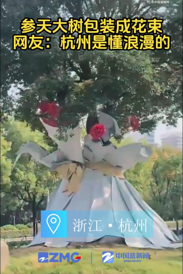 杭州参天大树被包装成巨型花束 网友：又被杭州浪漫到了