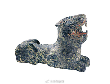 3000多年前长江白鲟被刻在金带上 白鲟资料照片