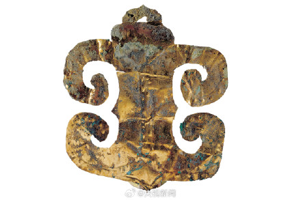 3000多年前长江白鲟被刻在金带上 白鲟资料照片