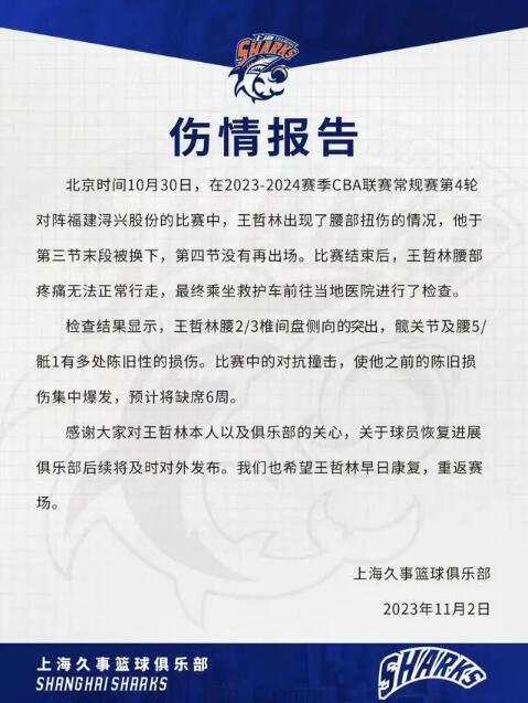 王哲林预计因腰伤缺席6周 上海男篮遭遇重大打击