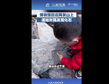 5岁男孩发现5亿年前古生物化石 网友：可能从此爱上考古