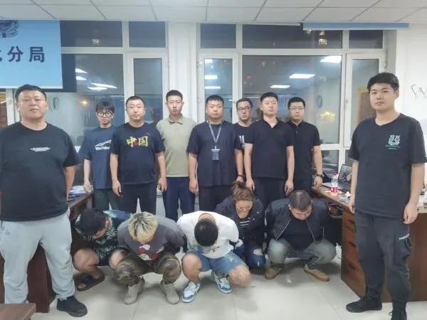 哈尔滨“宝妈”群13人被抓 涉案金额高达500余万元