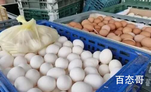 台湾面临鸡蛋过剩问题 怪不得说这边吃不起鸡蛋