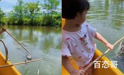 南京一动物园推出钓鳄鱼项目 到底是怎么回事