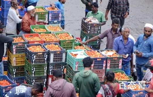 印度爆发“西红柿之乱” 背后的真相让人始料未及