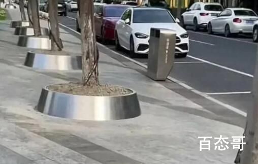 网友称杭州不锈钢树盆连夜被拆除 为什么要用不锈钢呢？