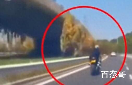 网红女摩托车手在重庆一隧道内身亡 究竟是怎么一回事