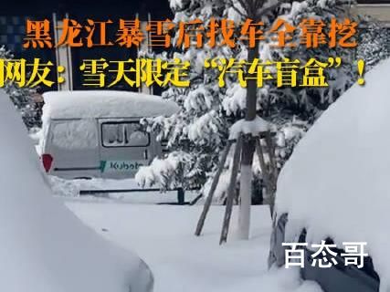 黑龙江暴雪后找车全靠挖 南方的孩子表示羡慕