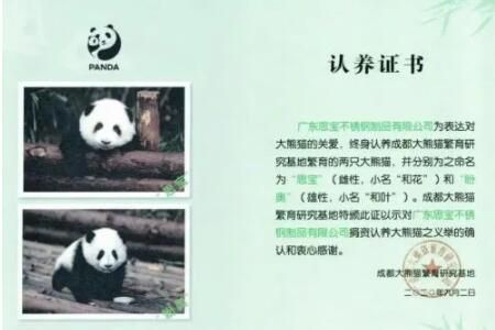 认养一只大熊猫要花多少钱(大熊猫认养条件)