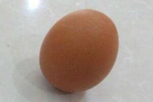 听说春分立鸡蛋成功率高是什么原理(春分立鸡蛋作文)