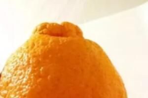 洗澡吃橙子大法是什么意思梗(吃完橙子可以洗澡吗)