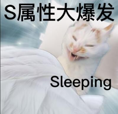 s属性大爆发sleeping表情包大全(S属性大爆发Sleeping的S)