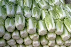 白菜批发价最低2毛一斤，今冬蔬菜为何大降价(北京白菜批发价)