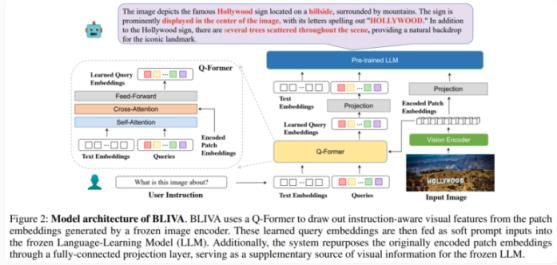 视觉语言模型BLIVA:让AI更擅长阅读图像中的文本 懂得看路牌和食品包装